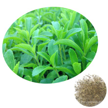 Guarantee Germination 2019 Chinese Vegetable Sugar Plant Stevia Seeds